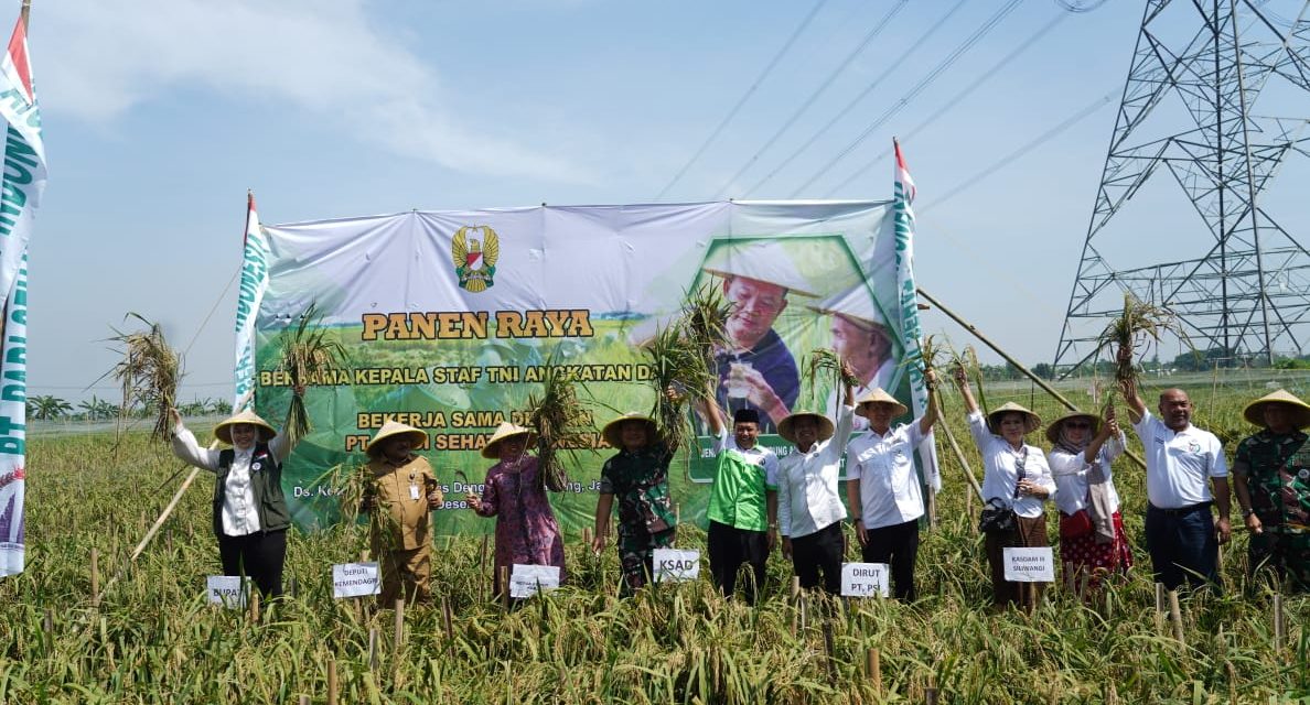 Kasad Panen Raya Padi Unggulan di Karawang