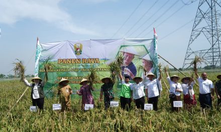 Kasad Panen Raya Padi Unggulan di Karawang