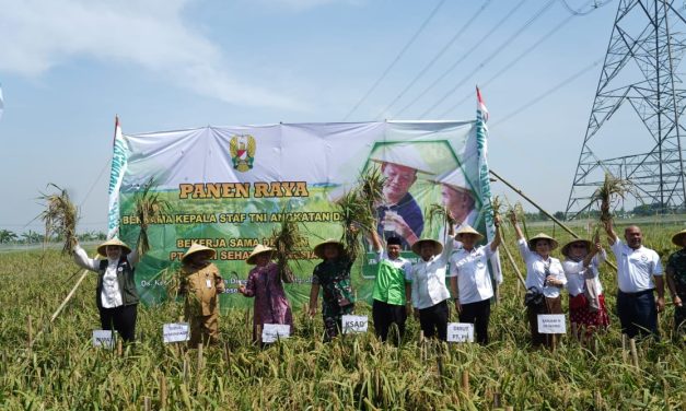 Kasad Panen Raya Padi Unggulan di Karawang
