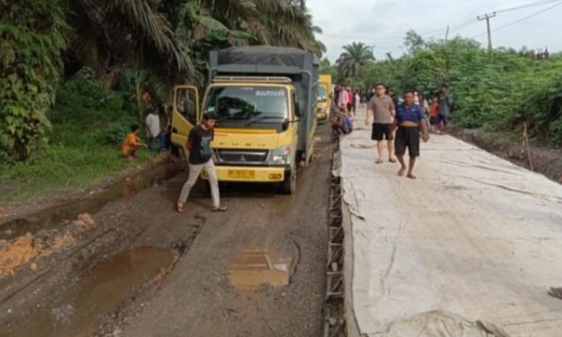 Macet Panjang di Jalinsum Jambi-Palembang, Ternyata Ini Penyebabnya