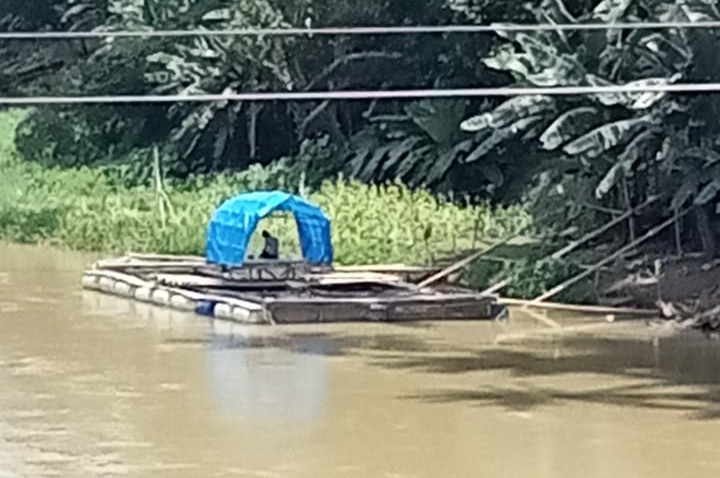 Pakan Ikan Disunat Kadis, Pembudidaya Ikan Kerambah Ancam Lapor Kasi Penuntutan di Kejaksaan.