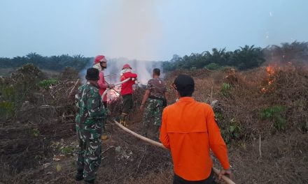 Meminimalisir Kabut Asap, Kodim 0420/Sarko Padamkan Api Di Tengah Hutan