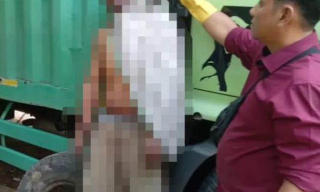 Warga Tempino, Kecamatan Mestong, Kabupaten Muaro Jambi dihebohkan oleh penemuan seorang sopir truk kontainer warna hijau tewas gantung diri
