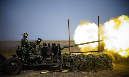 Pastikan Kesiapan Tempur Satuan Arhanud, Kasad Tinjau Latihan Menembak Senjata Berat