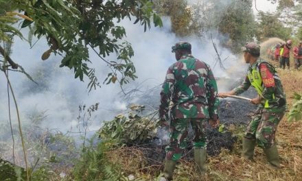 Dandim 0420/Sarko Pimpin Langsung Pemadam Api