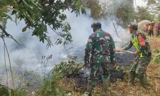 Dandim 0420/Sarko Pimpin Langsung Pemadam Api
