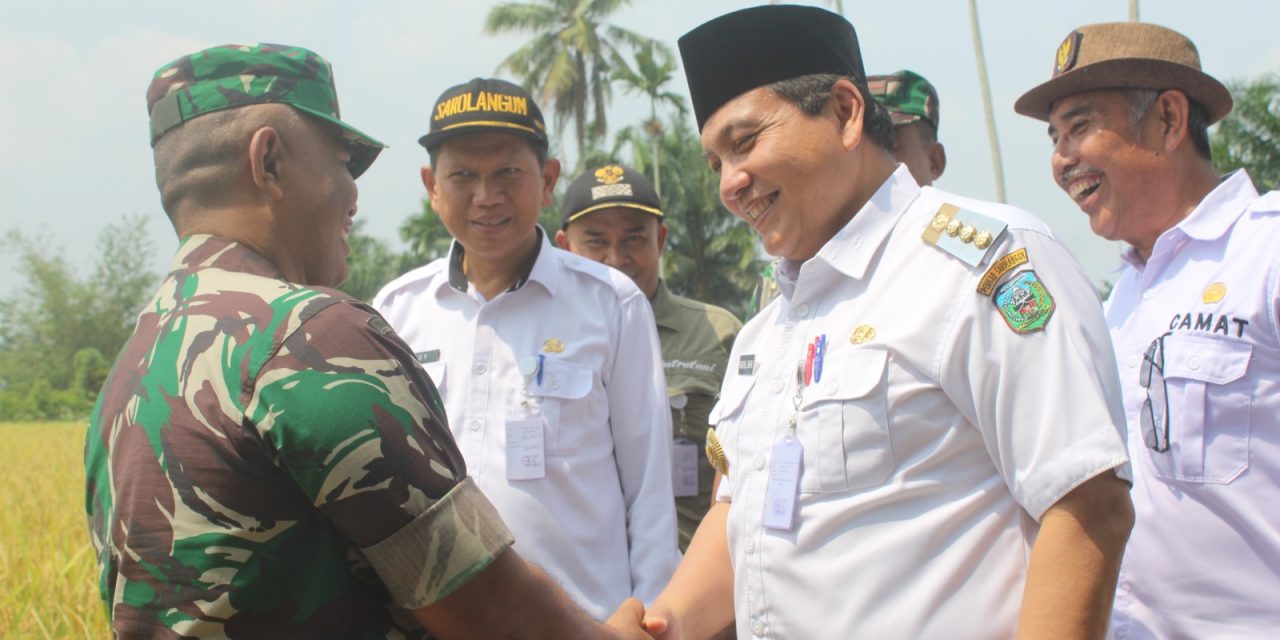 Dukung Ketahanan Pangan Nasional, Kodim 0420/Sarko Panen Raya