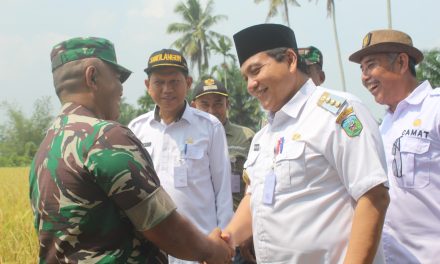 Dukung Ketahanan Pangan Nasional, Kodim 0420/Sarko Panen Raya