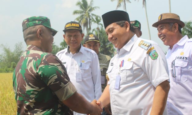 Dukung Ketahanan Pangan Nasional, Kodim 0420/Sarko Panen Raya