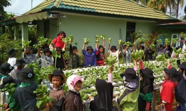 Manfaatkan Waktu Ruang, Babinsa Koramil 06/Muara Bungo Budidaya Sayur Hidroponik