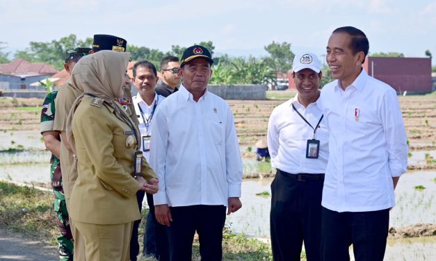 Presiden Jokowi Tinjau Penanaman Padi dan Serap Aspirasi Petani di Pekalongan
