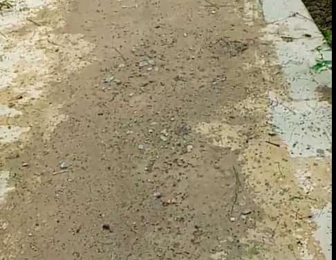 LSM GN – PK Tanjab Timur Temukan Dugaan Mark Up Dan Dugaan Penyimpangan Pada Pengelolaan APBDes Harapan Makmur Tahun Anggaran 2023