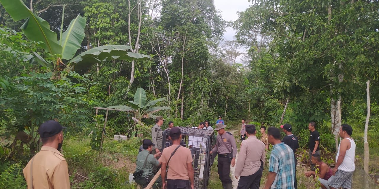 Wakapolres Muaro Jambi didampingi Kapolsek Sungai Gelam memberikan sembako kepada warga korban serangan hewan liar beruang.