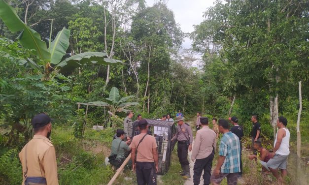 Wakapolres Muaro Jambi didampingi Kapolsek Sungai Gelam memberikan sembako kepada warga korban serangan hewan liar beruang.