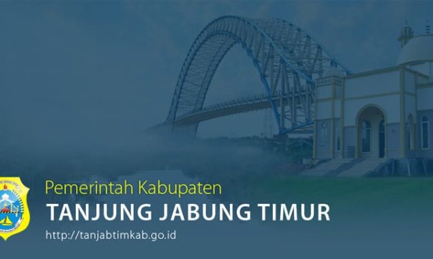 Pilkada Tanjab Timur 2024 – 2029, Siapakah Yang Layak Teruskan Estafet Kepemimpinan Bupati Romi Hariyanto???