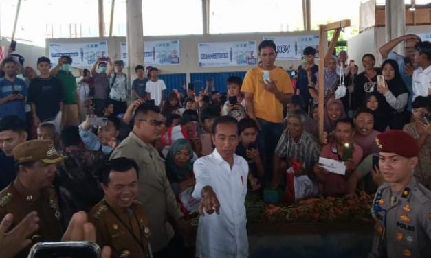 Dandim 0420/Sarko Letkol Inf Suyono S.Sos, Menjadi Dansubsatgas Pengamanan KunjunganPresiden Joko Widodo