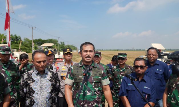 TNI AD Aktif Bantu Pemerintah Amankan Stok Pangan Nasional