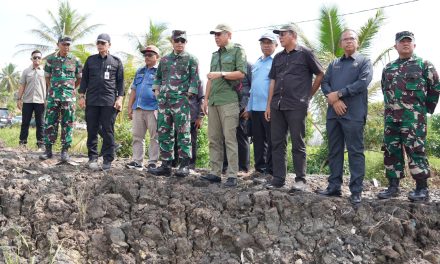Pangdam II/Swj Tinjau Lokasi OPLA di Banyuasin