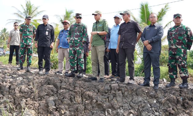Pangdam II/Swj Tinjau Lokasi OPLA di Banyuasin