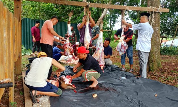 Setelah Sholat Idul Adha 1445 H, Prajurit Kodim 0420/Sarko Laksanakan Pemotongan Hewan Qurban