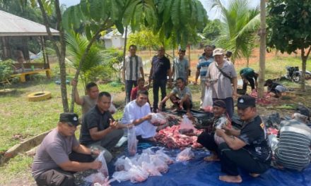 Kapolsek sungai gelam IPTU Usaha Sitepu berkurban satu ekor sapi berukuran besar Tahun 2024