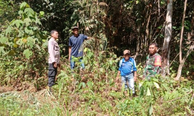 Laksanakan Patroli Karhutla Bersama Masyarakat Babinsa Bhabinkamtibmas Dan Pihak Terkait