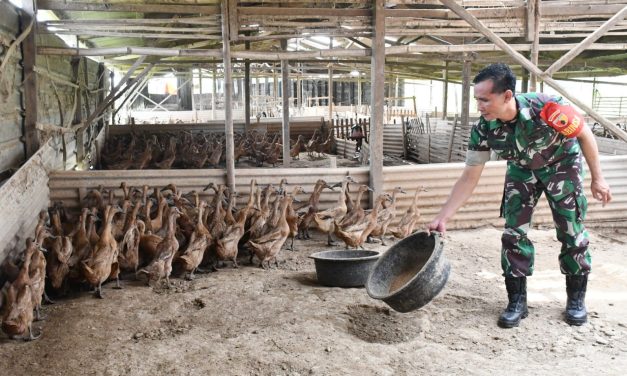 Awalnya Tergolong Nekat, Kini Prajurit TNI Ini Raup Rp 1,5 Juta Sehari