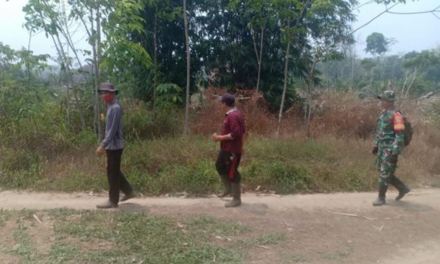 Berjalan Kaki, Babinsa Serda Ansori Ajak Warga Cek Lahan Rawan Kebakaran