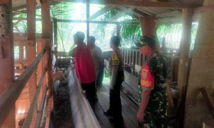 Babinsa Sertu Yusrizal Bersama Babinsa Cek Kesehantan Ternak Warga