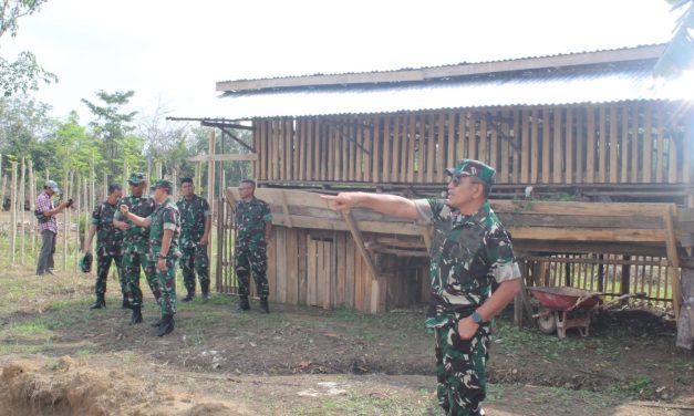Danrem 042/Gapu Jambi melaksanakan peninjauan lahan ketahanan pangan terpadu kodim 0420/Sarko