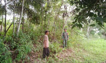 Terus Lakukan Pencegahan Karhutla Babinsa Serda Sargawi Rutin Laksanakan Patroli