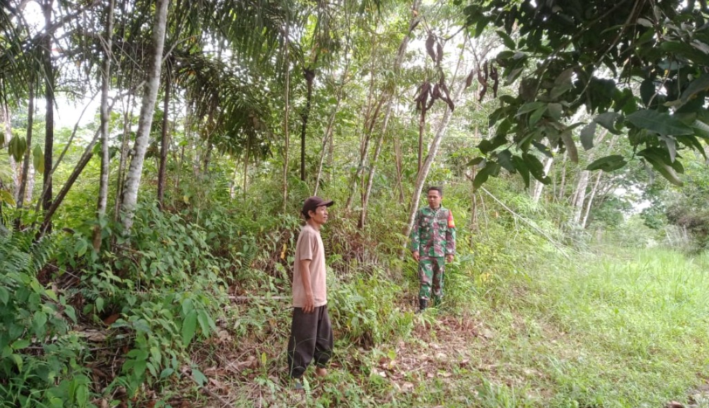 Terus Lakukan Pencegahan Karhutla Babinsa Serda Sargawi Rutin Laksanakan Patroli