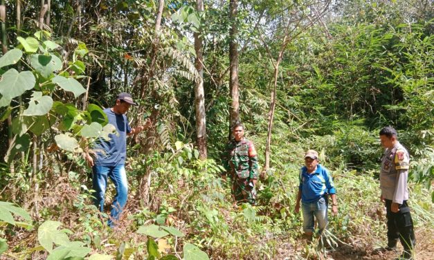 Babinsa Sertu Defrizal Dan Bhabinkamtibmas Turun Ke Lapangan Guna Cek Lahan Rawan Kebakaran