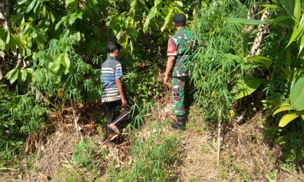 Giat Patroli Di Wilayah Binaan, Babinsa Koramil 06/Muara Siau Ajak Warga Bersama-Sama Mencegah Terjadinya Karhutla