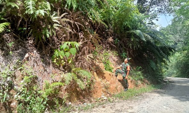 Cuaca Tidak Menentu, Babinsa Koramil 01/Bta Kelingi Patroli Pantau Banjir Di Desa Binaan