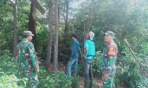 Babinsa Laksanakan Patroli Karhutla bersama warga di Desa binaan