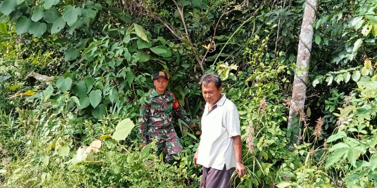 Babinsa Laksanakan Patroli Karhutla Di Desa Binaannya