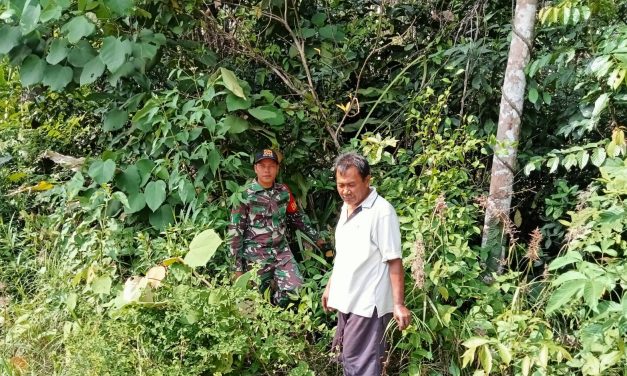 Babinsa Laksanakan Patroli Karhutla Di Desa Binaannya