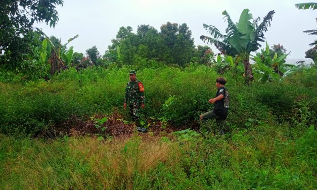Babinsa Lakukan Upaya Sosialisasi Karhutla Dengan Rutin Patroli Bersama Warga Desa