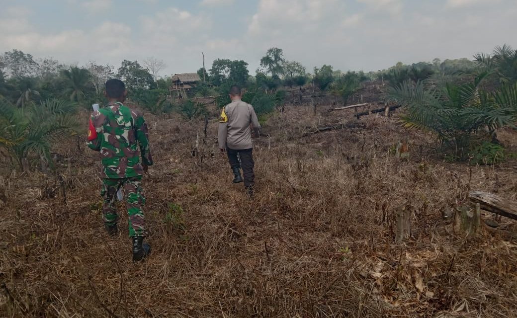 Cegah Karhutla, Babinsa Laksanakan Patroli Rutin