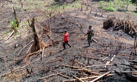 Cegah Karhutla Babinsa Rutin Laksanakan Patroli Karhutla Di Desa Bersama Warga