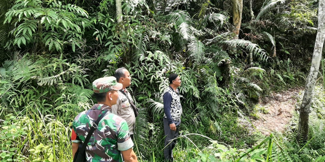 Cegah Karhutla, Babinsa Koramil Batang Asai Lakukan Patroli