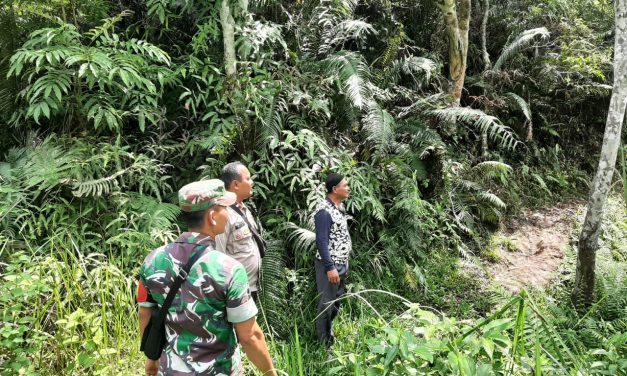 Cegah Karhutla, Babinsa Koramil Batang Asai Lakukan Patroli