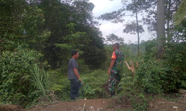 Babinsa Lakukan Patroli Rutin untuk Cegah Karhutla di Wilayah Binaan