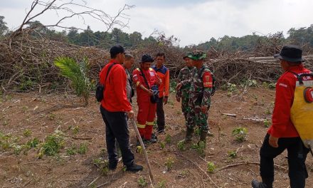 Cegah Karhutla, Babinsa Laksanakan Sosialisasi dan Patroli Rutin