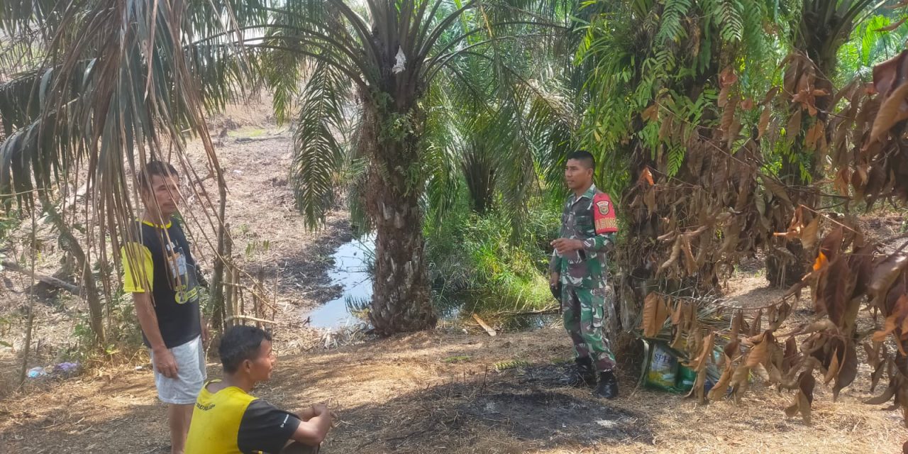 Cegah Karhutla Babinsa Rutin Laksanakan Patroli Karhutla Di Desa Bersama Warga