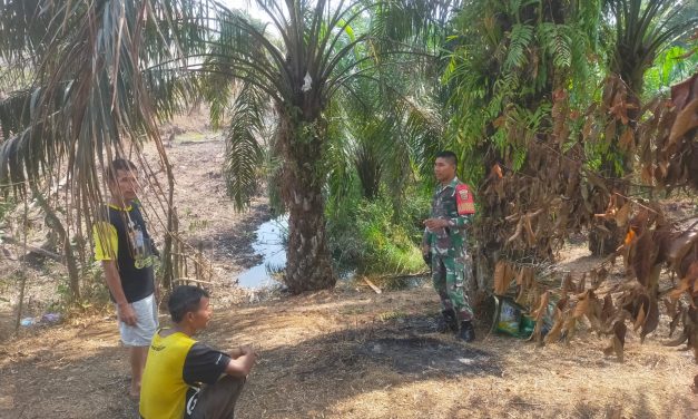 Cegah Karhutla Babinsa Rutin Laksanakan Patroli Karhutla Di Desa Bersama Warga