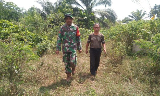 Upaya Babinsa Mencegah Terjadinya Kebakaran Hutan Dan Lahan