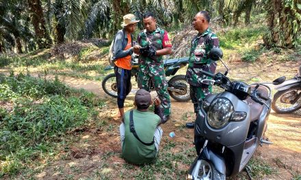 Babinsa Bersama Tim Karhutlah Cek Lahan Perkebunan Masyarakat Yang Terbakar