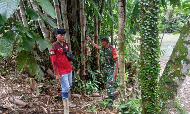 Cegah Karhutla babinsa rutin patroli